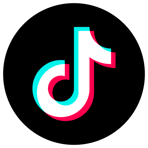 TikTok Icon